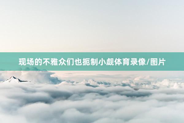 现场的不雅众们也扼制小觑体育录像/图片
