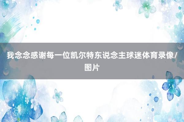 我念念感谢每一位凯尔特东说念主球迷体育录像/图片