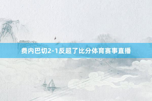 费内巴切2-1反超了比分体育赛事直播