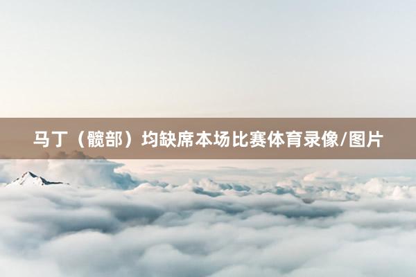 马丁（髋部）均缺席本场比赛体育录像/图片