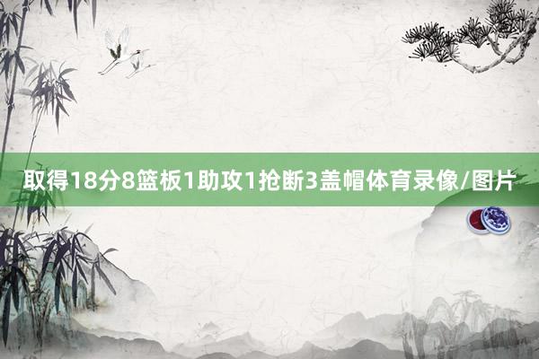 取得18分8篮板1助攻1抢断3盖帽体育录像/图片