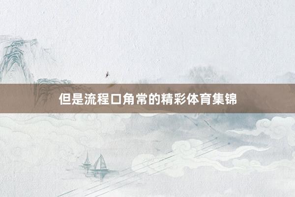 但是流程口角常的精彩体育集锦