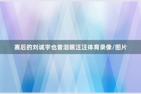 赛后的刘诚宇也曾泪眼汪汪体育录像/图片