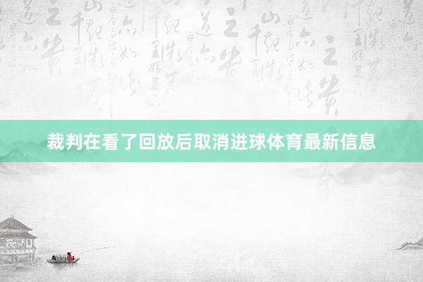 裁判在看了回放后取消进球体育最新信息