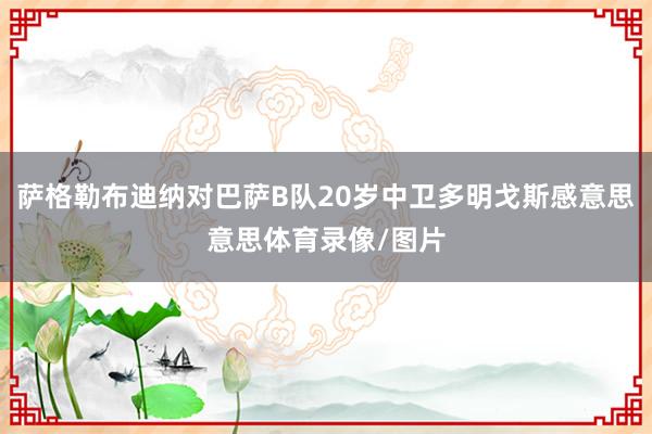 萨格勒布迪纳对巴萨B队20岁中卫多明戈斯感意思意思体育录像/图片