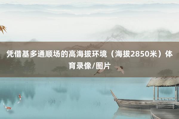 凭借基多通顺场的高海拔环境(海拔2850米)体育录像/图片