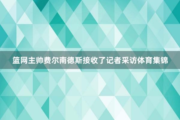 篮网主帅费尔南德斯接收了记者采访体育集锦