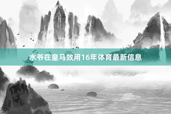 水爷在皇马效用16年体育最新信息