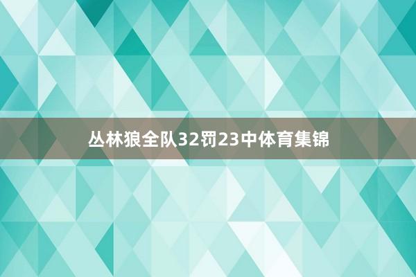 丛林狼全队32罚23中体育集锦