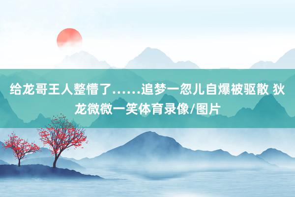 给龙哥王人整懵了……追梦一忽儿自爆被驱散 狄龙微微一笑体育录像/图片