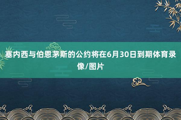 塞内西与伯恩茅斯的公约将在6月30日到期体育录像/图片